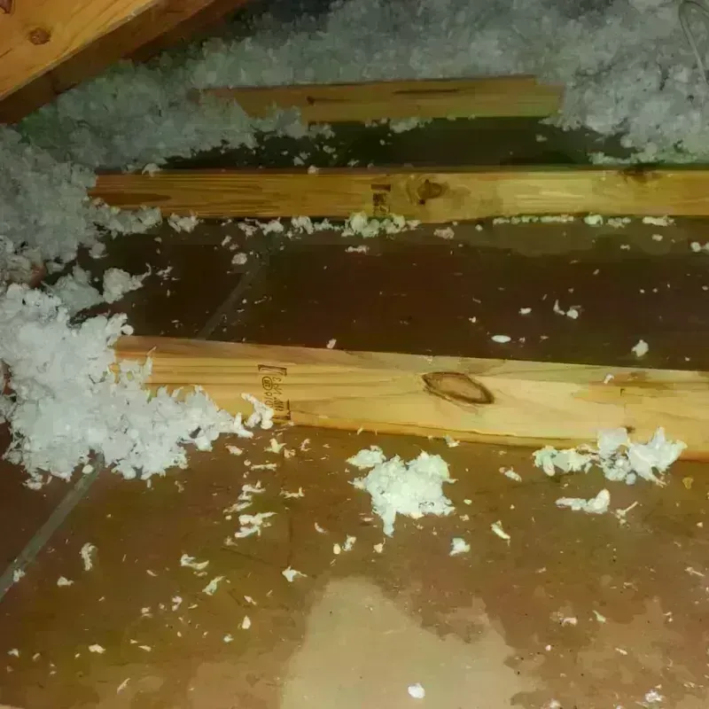 Attic Water Damage in City Island, NY